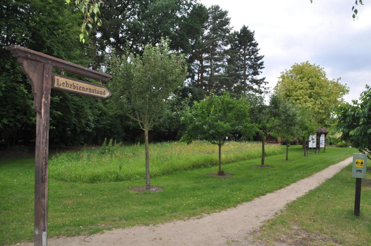 Lueneburger Heide - Rosalie