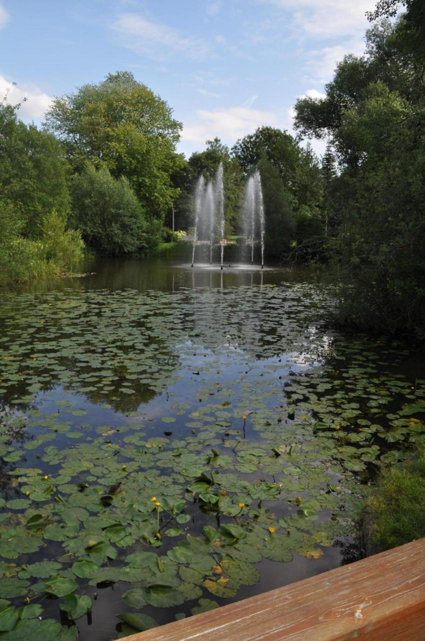 Lueneburger Heide - Rosalie * Bad Bevensen